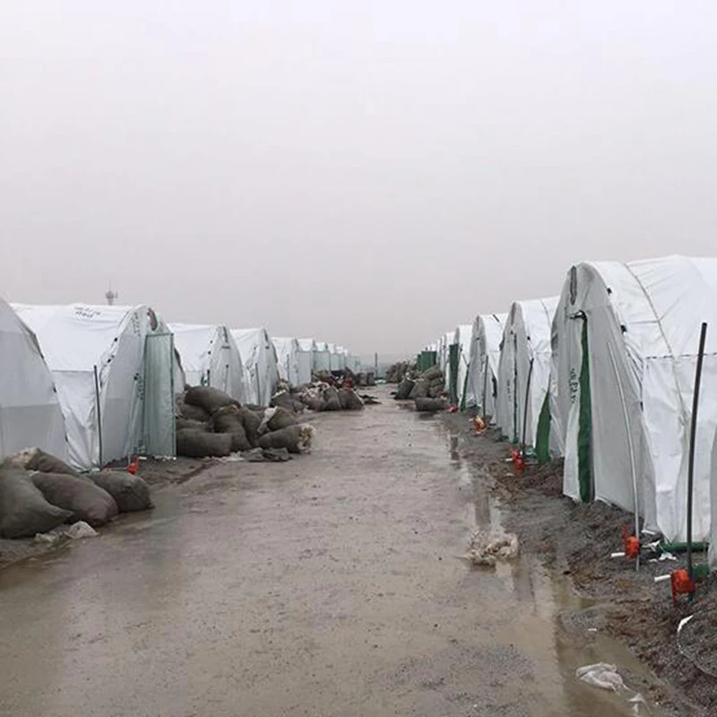 Утолщенная светоотражающая пленка шириной 4 м Тепличная для разведения кур и