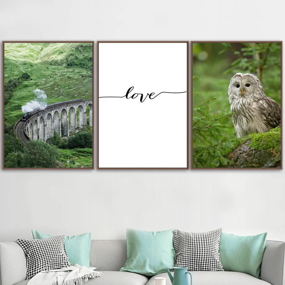 Кактус цветок растение лист шлейф сова Картина на холсте скандинавский постер и