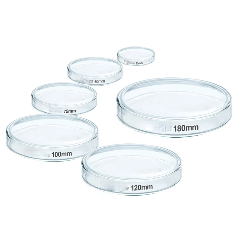 Placa de Petri de vidrio, placa de Petri biológica de alta temperatura para bacterias y células gruesas, laboratorio de química
