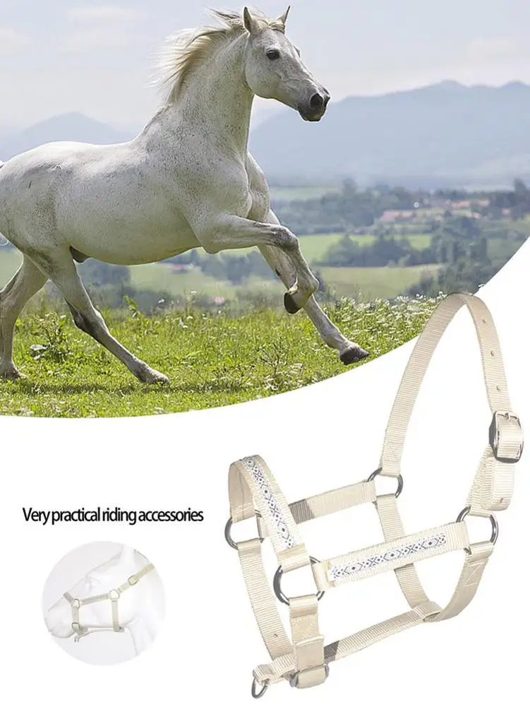 

Horse Halter Nylon Detachable Horse Rein Bridle Halter Equestrian Accessories Removable Snaffle Nylon Horse Riding Equipment