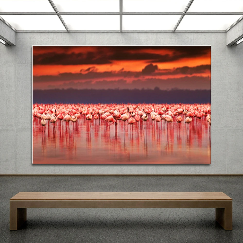 Африканские животные фламинго группа гостиная спальня украшение живопись