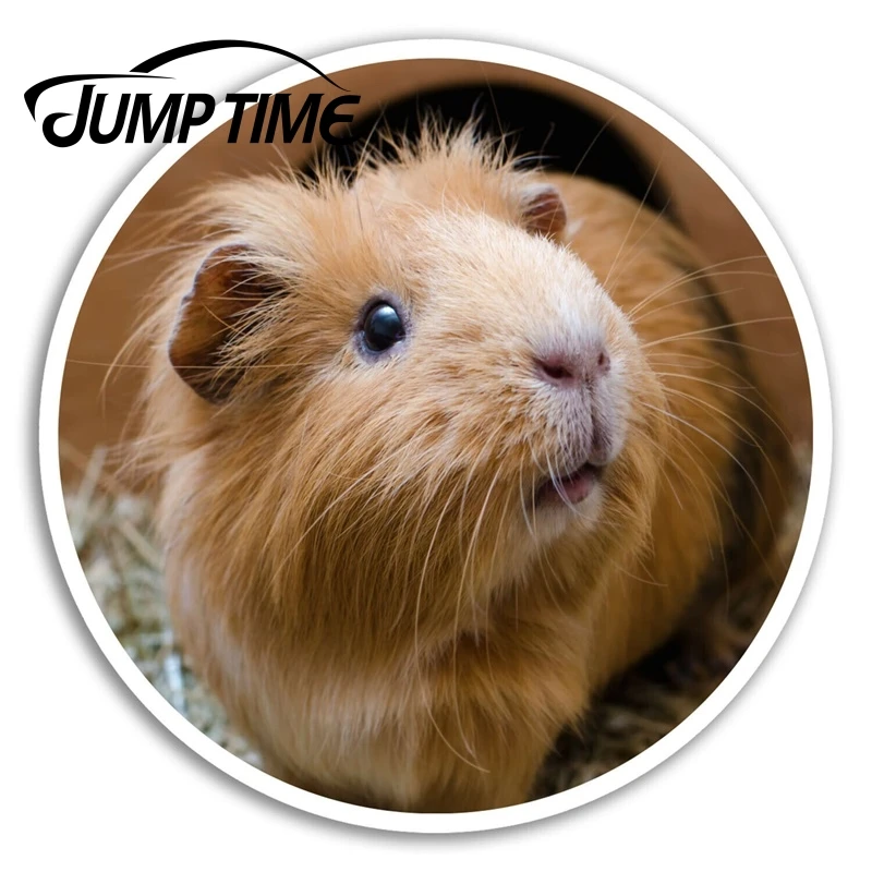 Виниловые Стикеры для ноутбука с имбирным морским свиньем |