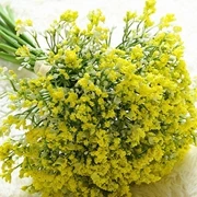 yellow 16 шт./компл. Младенцы дыхание Искусственные цветы Гипсофила», «сделай сам» с цветочным рисунком букеты для свадьбы, свадебные домашний сад вечерние украшения - Цвет: yellow