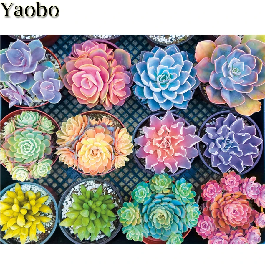 5d Diy Алмазная картина полностью квадратная круглая дрель сочные растительные