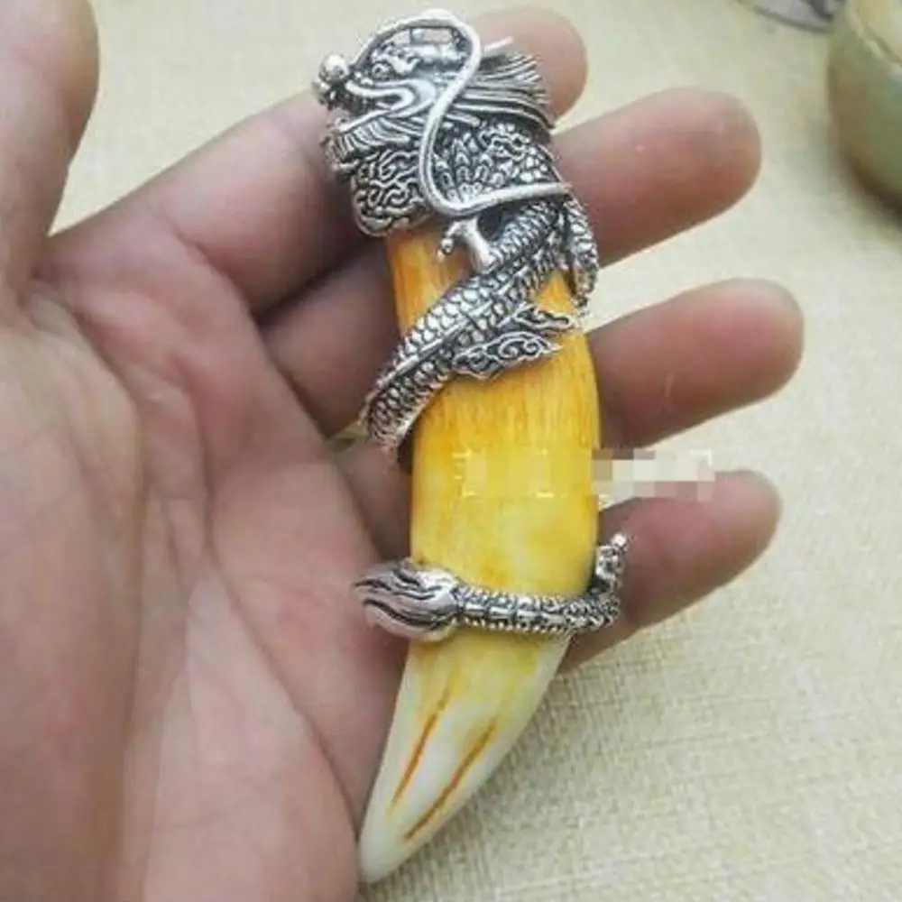 Китайские антикварные кабаны зубы дикий серебряный дракон Защитная фотография