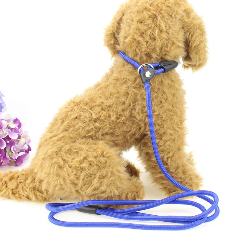 

Outdoor Walking Puppy Dog P Chain Leash Adjustable Nylon Pet Leashes for Small Medium Dogs Training Lead mascotas Accessories