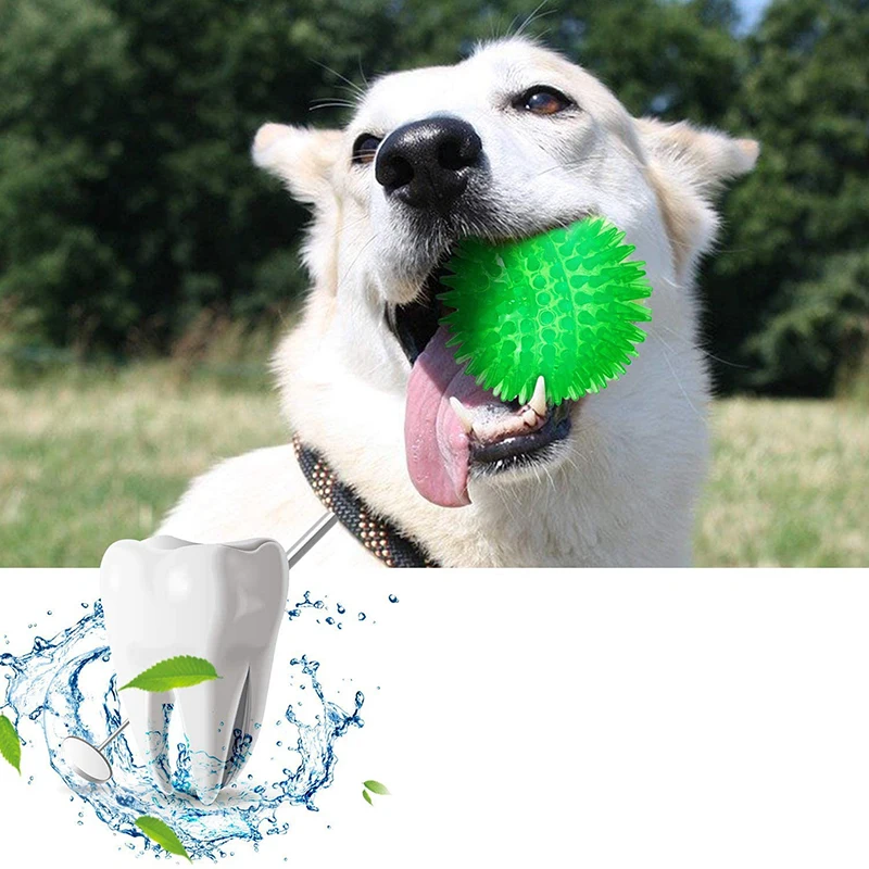 Golden Retriever Large Dogs Spiked Ball Super Elastic Sound Chew Tooth Cleaning Puppy Toy TPR Pet Dog Squeak Toys | Дом и сад