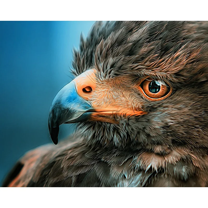 

5D DIY Diamond Painting Full Square/Round Drill Animal Eagle Embroidery Cross Stitch gift Home Decor Gift