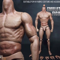 dropshipping zc toys 16 scale male muscular figure body similar to ttm19 for 12 action figure doll toys soldier model