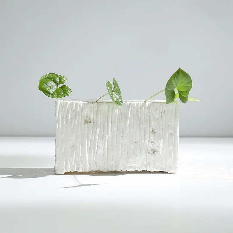 Простая Вегетарианская водная культура белый керамический цветочный горшок