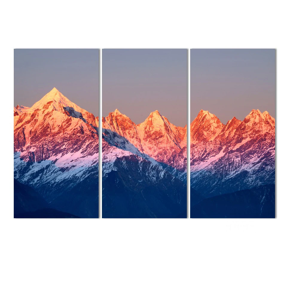 HD холст Художественная настенная живопись картина для гостиной домашний декор 3