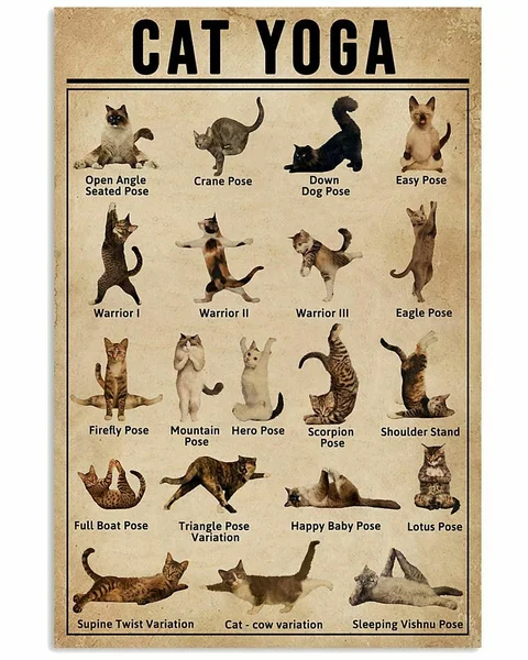 

Cat Yoga Funny Poster Art Print Decor Metal Tin Sign Wall Decor