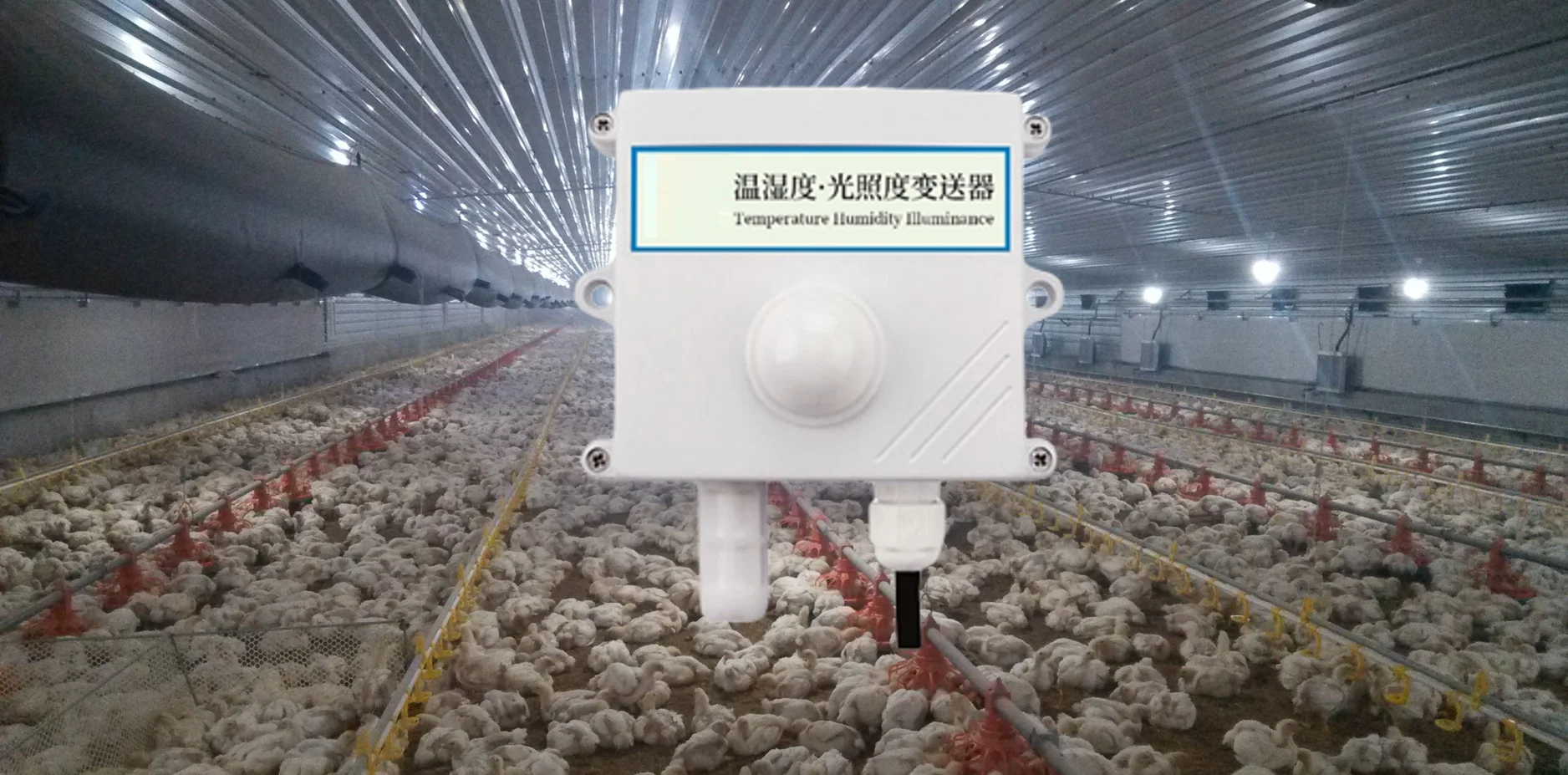 Настенная подсветка для температуры и влажности воздуха 3 в 1 RS485 Wi-Fi gprs компактная