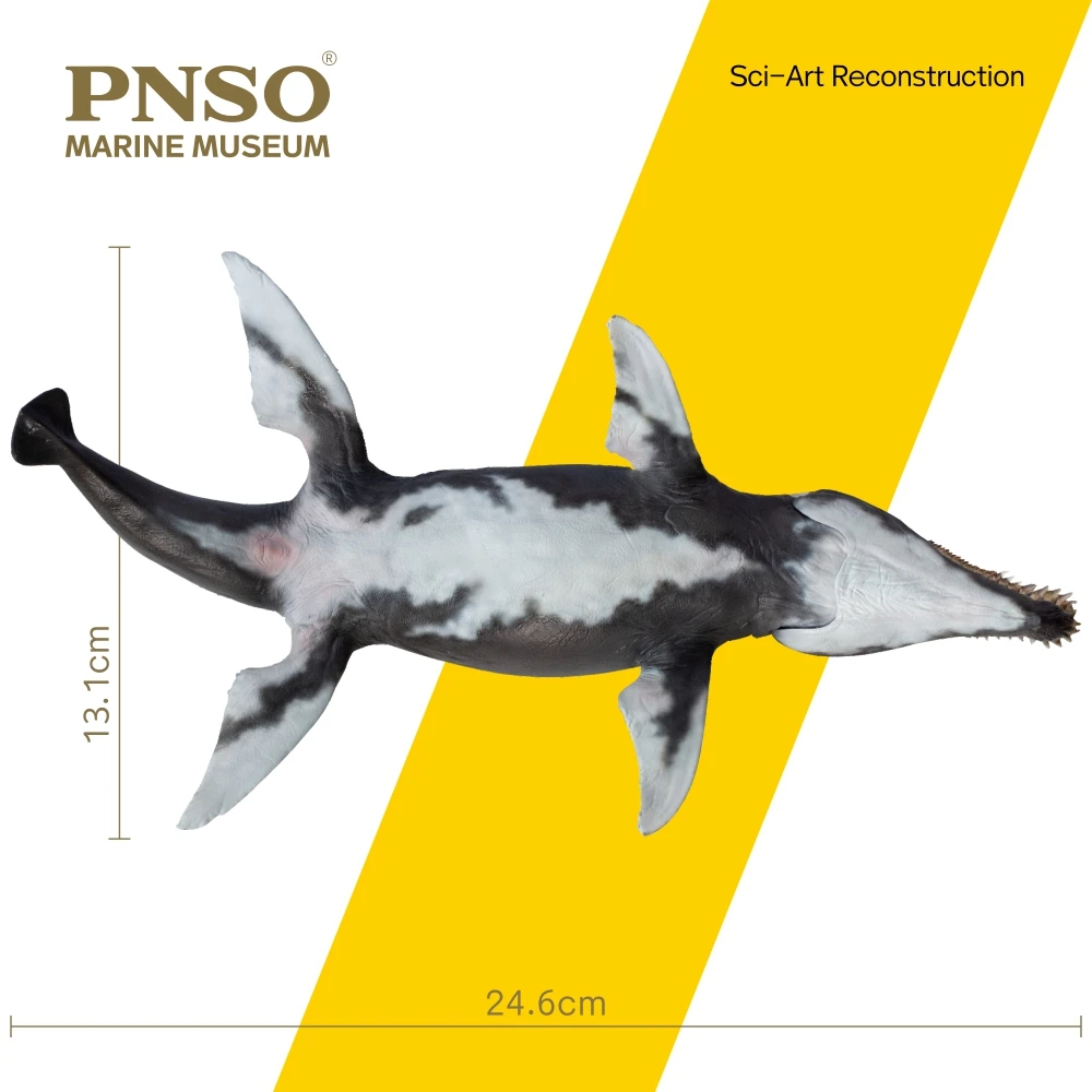 PNSO-modelo de arte cient&iacute;fico, Museo marino, JEFF, KRONOSAURUS 1:35-1