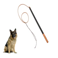 dog puppy teaser pole wand outdoor interactive pet dog flirt pole training exercise rope toy training whip pet supplies