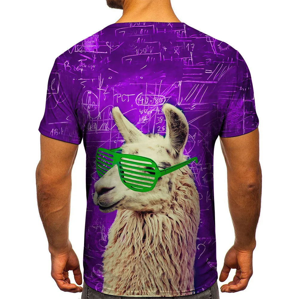 Рисунок 6 - Новинка лета 2021