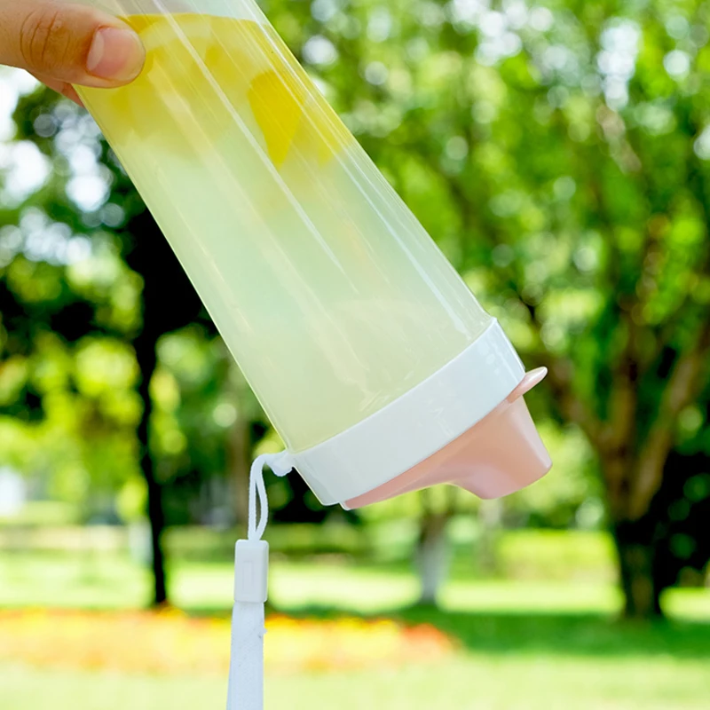 Pan da подарок для девочки 400 мл бутылка воды пластиковая вливания фруктов инфузер