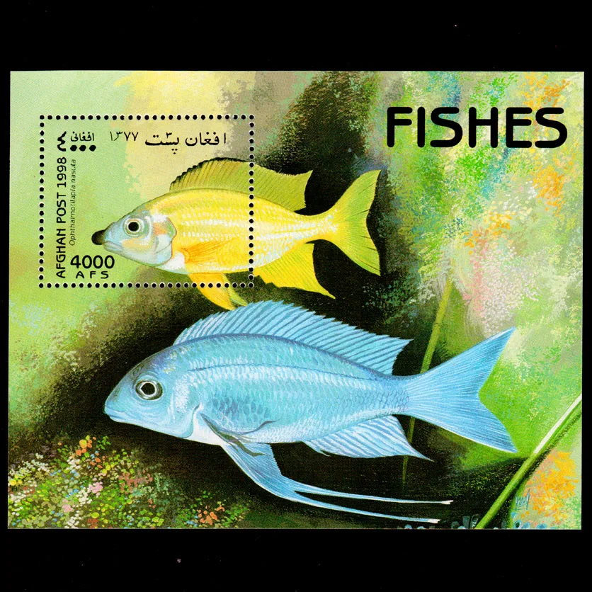 

1 лист, новый штемпель Afgh Post 1998, золотой фонарь, декоративная рыба, сувенир печати на листе MNH