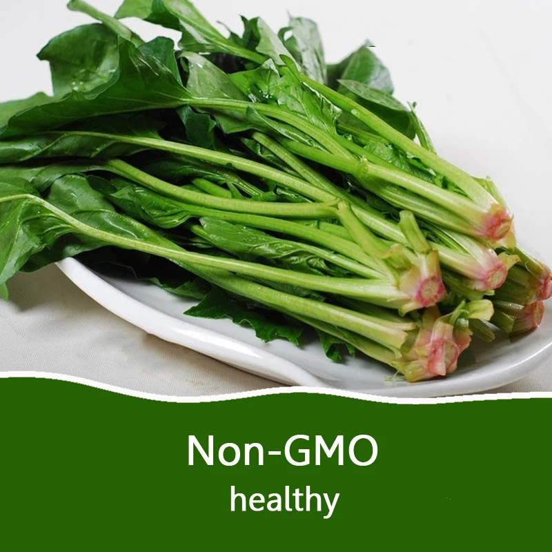 Шпинат не-ГМО органический здоровый китайский шпинат сад балкон украшения 300 шт |