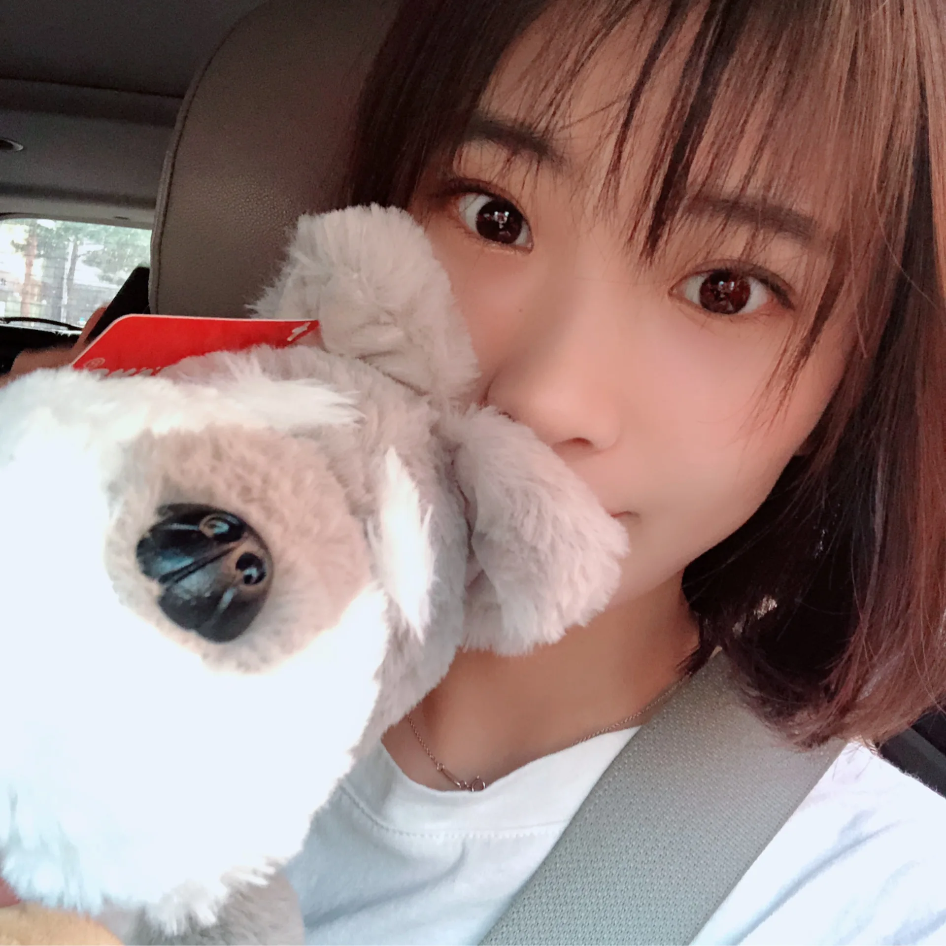 

30CM Animal Plush Stuffed Toys Cute Cartoon Schnauzer Dog Soft Appease Toy Doll Birthday Christmas Gifts For Kids Children Girls