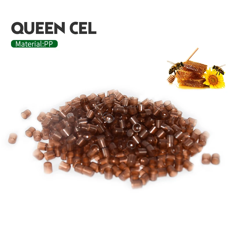 BEETOP 1000 шт. Пчеловодство King Queen коробка для выращивания коричневый клетки Пластик