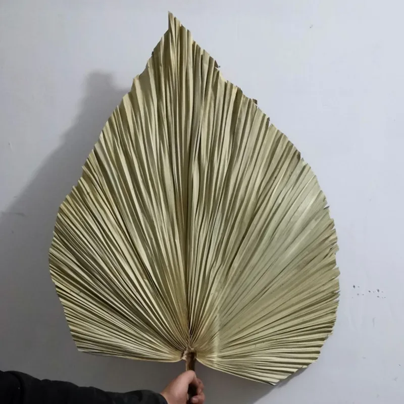 Сушеные Подсолнухи в скандинавском стиле натуральные растения большой