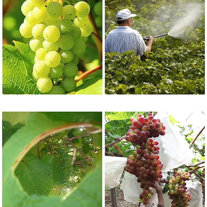 100 шт. нетканые ткани плёнка для защиты от птиц пчел насекомых Виноградов