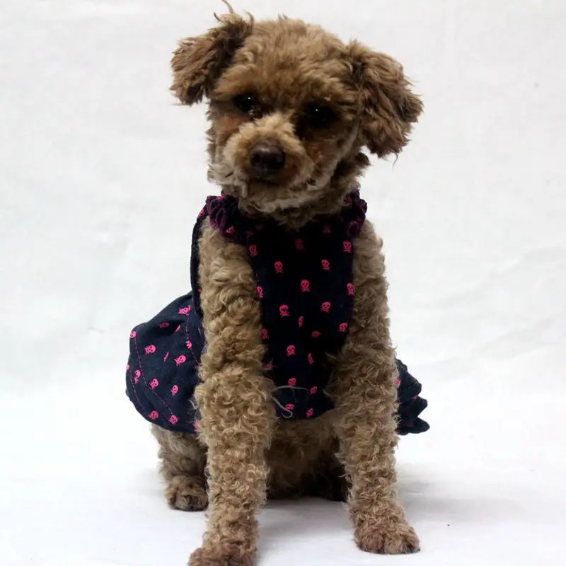 TOMEPETS Dog Dresses Doggy Princess Cute Skirt Skeleton Prints Cowboy Pet for Small Doggies Two Colors Available in 4 Sizes | Дом и сад