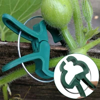100pcs plant garden clips vegetable plant vine support clips for holding plant stems garden accessories set gardening clip