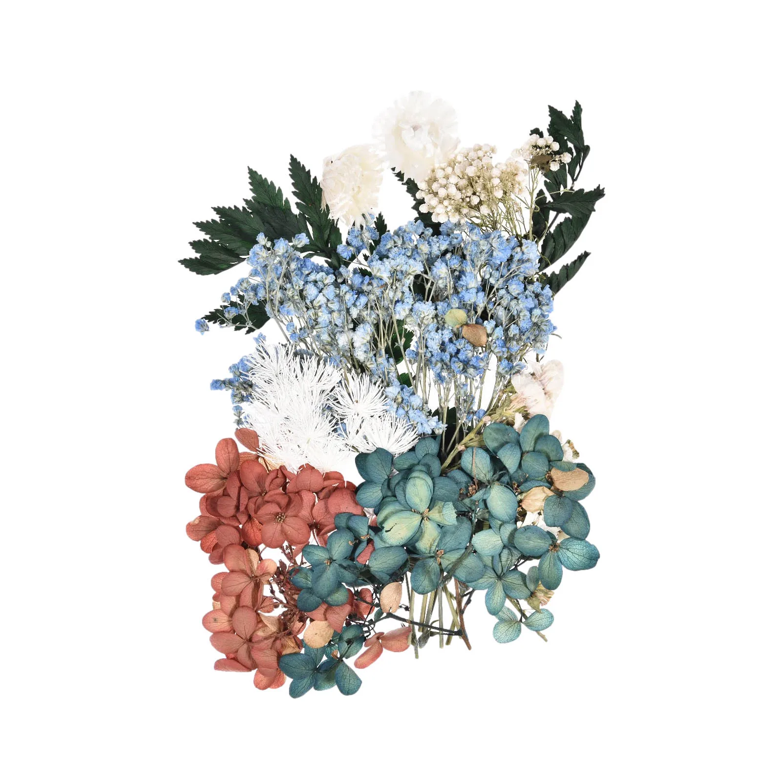 Сушеные цветы листья россыпью сушеные прессованные для сделай сам свечи