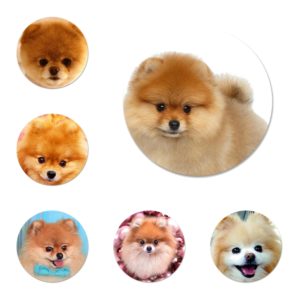 Брошь значок на булавке в виде собаки померанского шпильки аксессуары для одежды