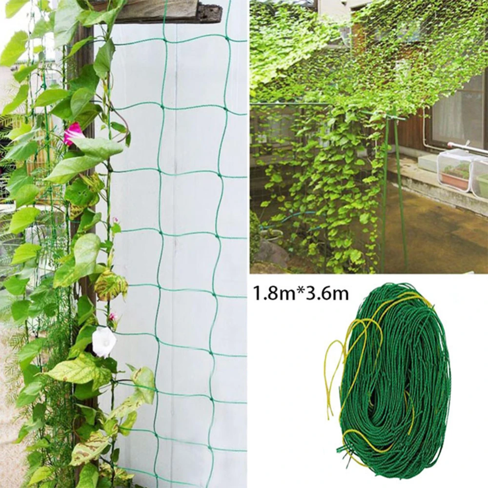 

Garden Plants Climbing Net Morning Glory Flower Vine Netting Support Net Grow Holder Garden Accessories