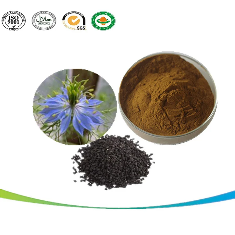 Заводская поставка по лучшей цене 10:1 порошок нигерилы посевного L черный