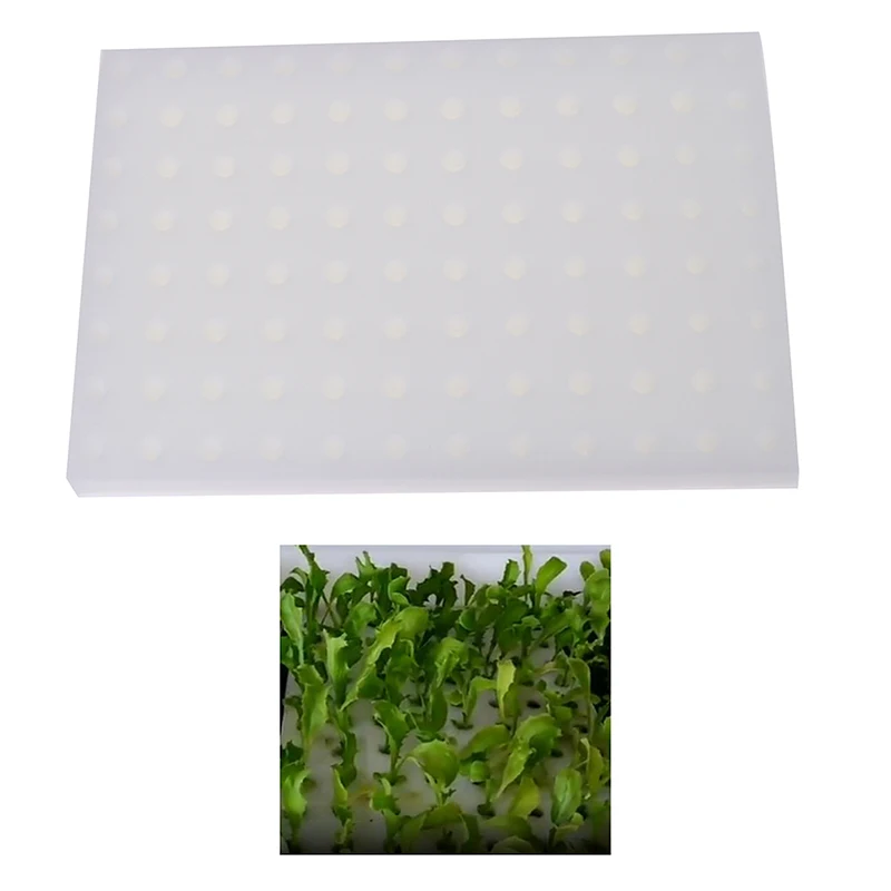 

White Seedling Sponge Soilless Hydroponic Vegetables Nursery Pots Seedlings Cloning Collar Garden Cultivation Plant