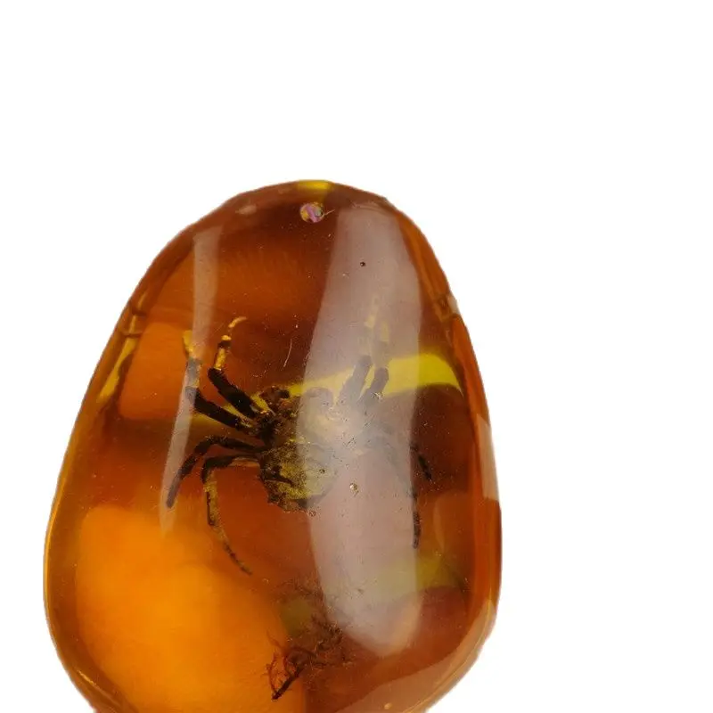 

Rare Amber Spider , Amber Spider Pendant