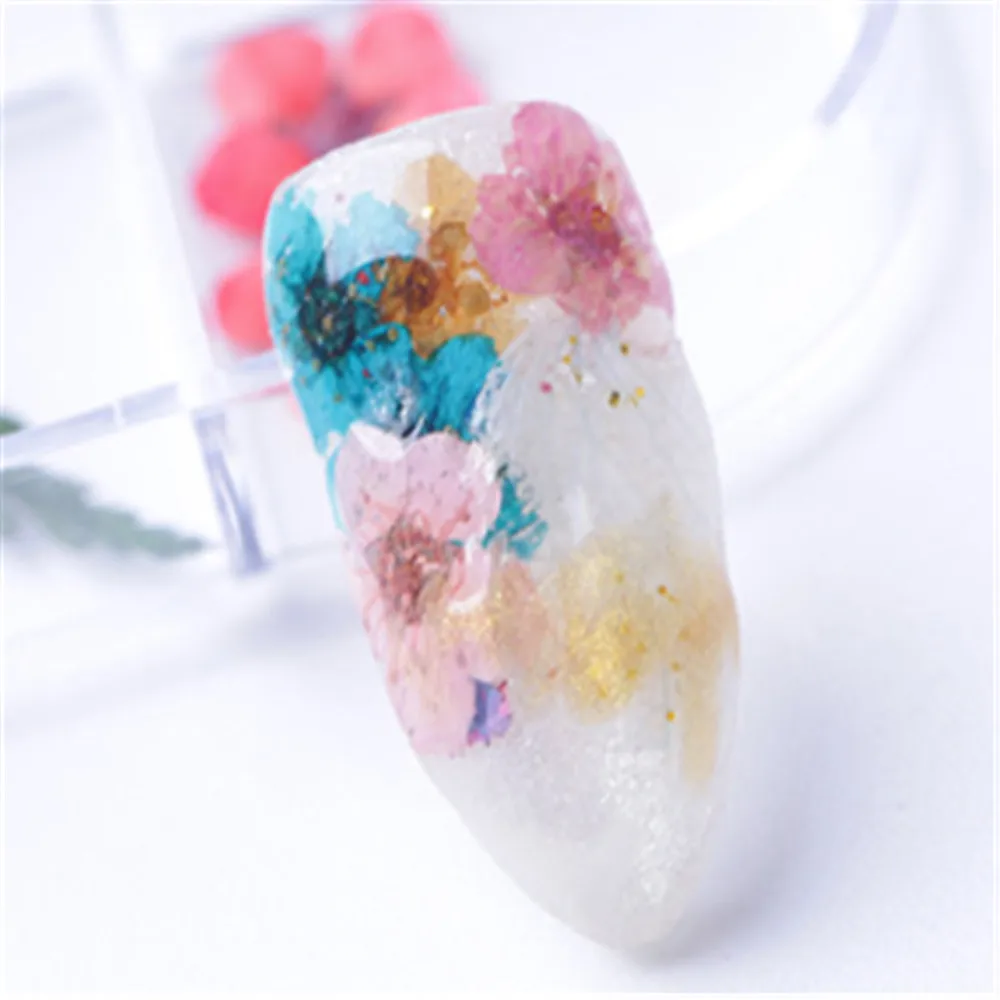 New Japanese Set Boxed 12 Color 3d Three-dimensional Natural Jewelry Lace Starry Five-petal Flower Nails Dried Flowers | Красота и