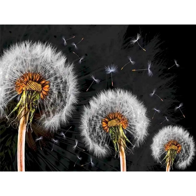 

RUOPOTY DIY Painting By Number Dandelion Drawing On Canvas Pictures By Numbers Kits Hand Painted Paintings Home Decor Gift