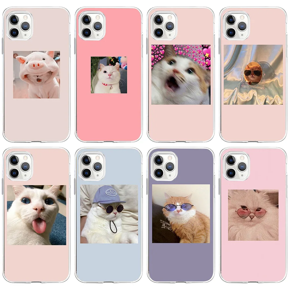 

Animal Pattern Candy Color Cat Phone Cases For iPhone11 12 Pro Max Mini 11 Pro XR XS 8 X 7 6S 6 Plus Transparent Soft TPU Cover