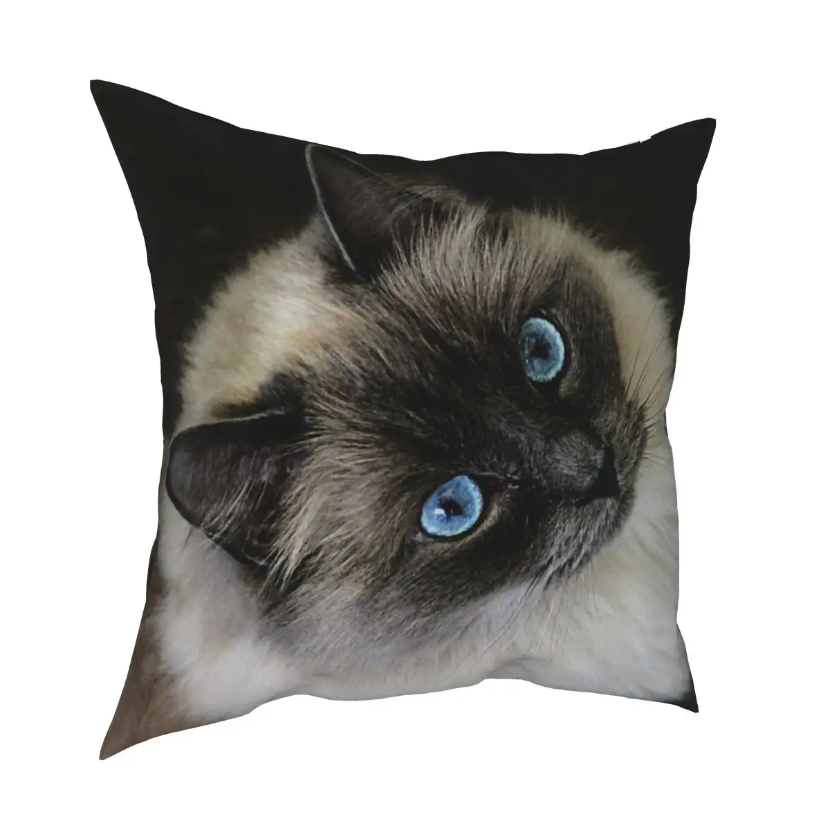 

Cat Tabby Kitty Lover Animal Pet Pillowcase Printed Polyester Cushion Cover Decorations Pillow Case Cover Seater Square 45X45cm