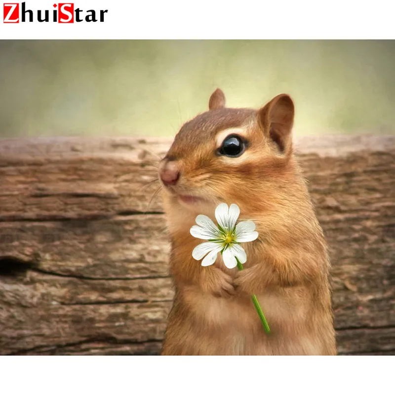 Алмазная 5d-картина сделай сам полное сверло квадратная белка-цветок украшение