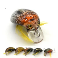 2020 exquisite fishing tackle peche 35mm 4g cicada bait hard plastic fishing lure insect bug lure