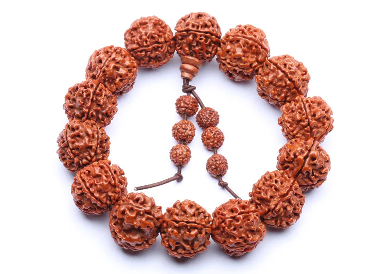 Семена рудракша 18 мм с пятью лепестками бусины для учеников Тибетский буддизм