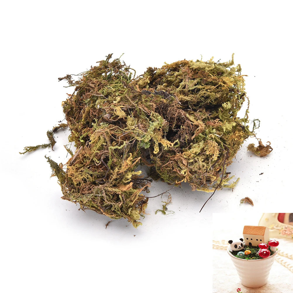 2020 10 г/пакет сохранить сухой мох декоративные растения ваза искусственный газон