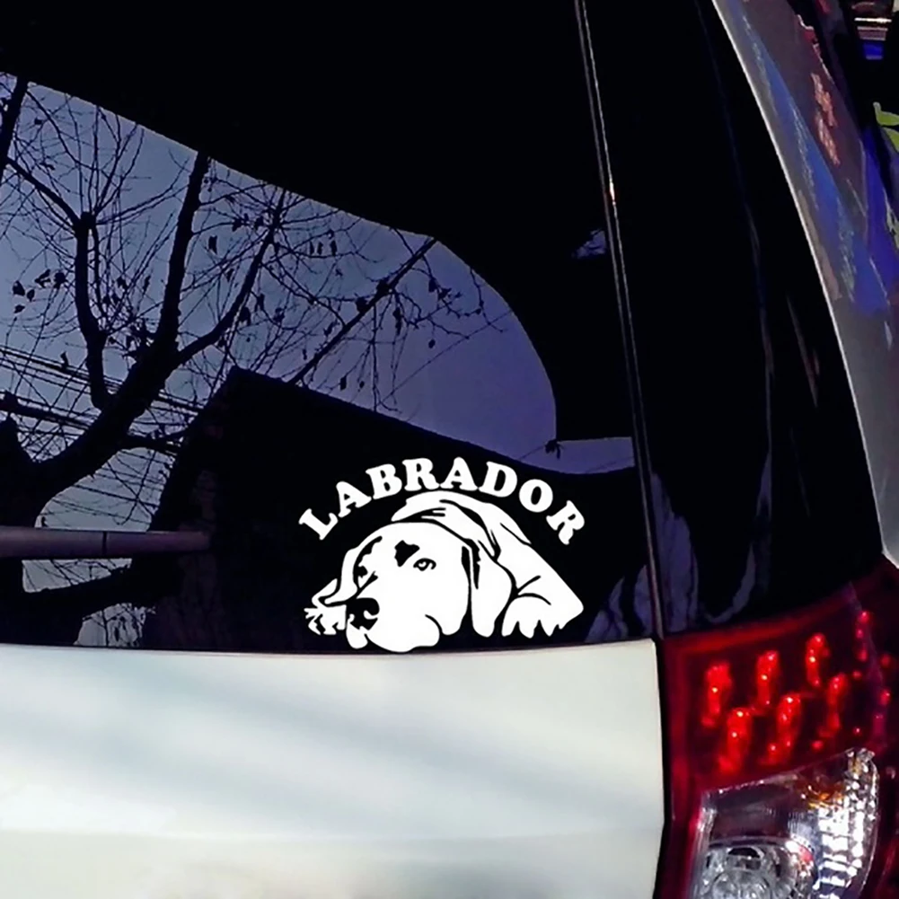 

15cmx8cm Cute labrador Vinyl Car stickers Decals Motorcycle Accessories Car-Window Decorative Goods PVC