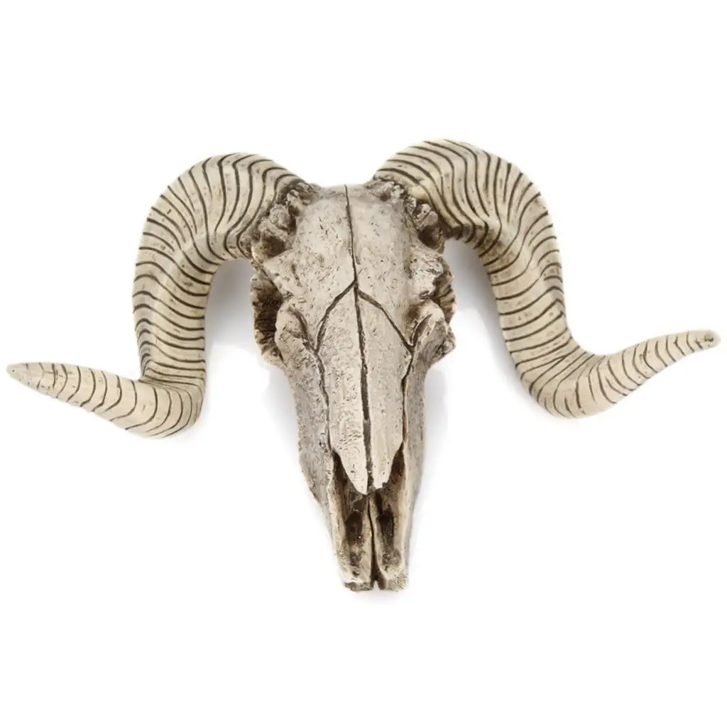 

Head Ornament Animal Sculpture Hanging Display Decoration Skull Sheep's Head