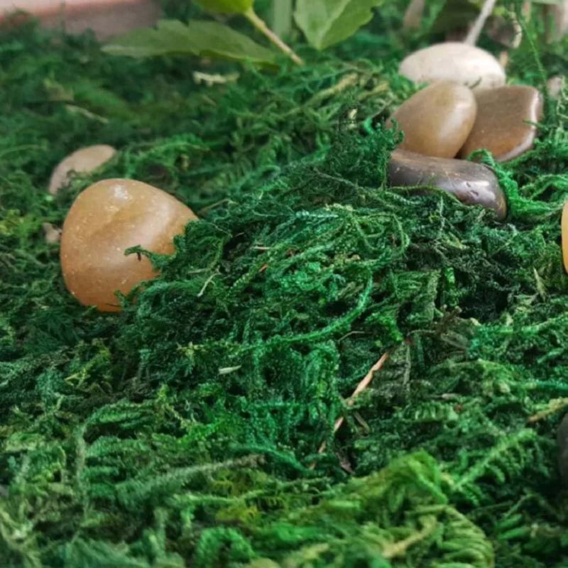 20/г зеленый мох украшение Моха горшечная трава бонсай зеленые растения мощение