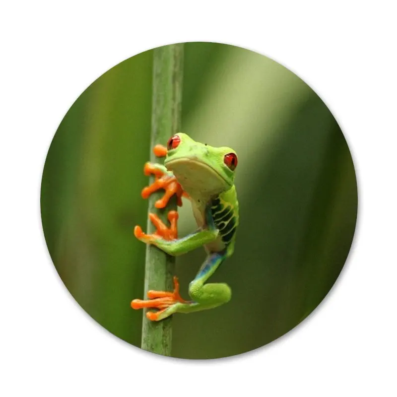 Значок в виде лягушки значки металлические для телефона | Дом и сад