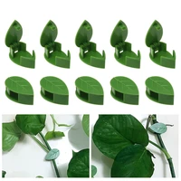 50pcs plant bracket invisible wall rattan clamp clip invisible wall vine climbing sticky hook self adhesive plant fixer stent