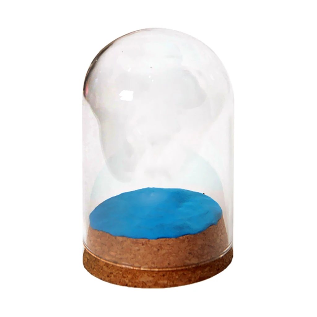 4 шт. декоративные из прозрачного стекла купол Cloche сочные террариумов воздуха