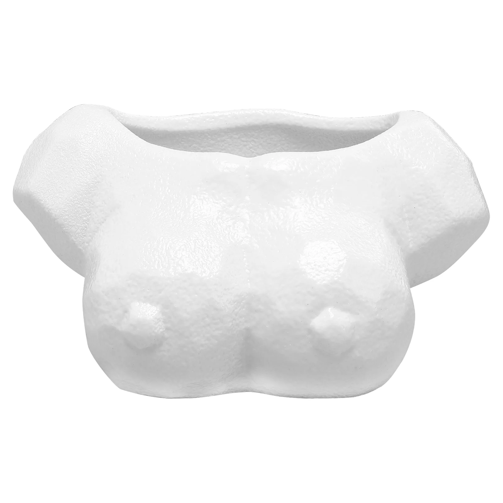 

1 шт., керамическая ваза для цветов